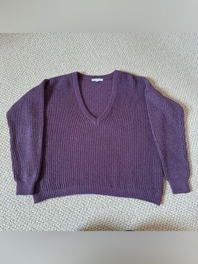 Made in Italy - American Eagle Outfitters Plum V-Neck Sweater